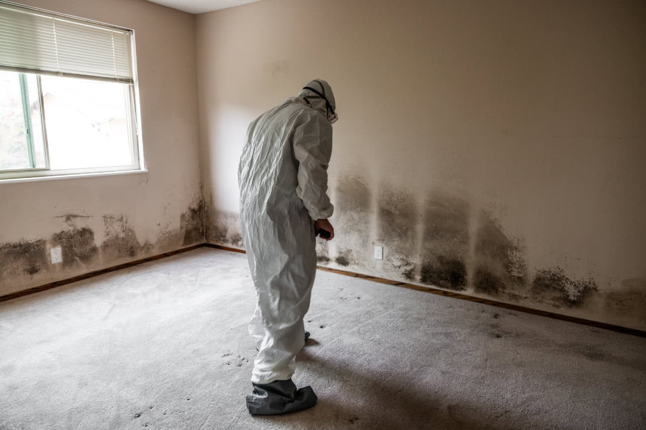mould remediation sydney restorpro