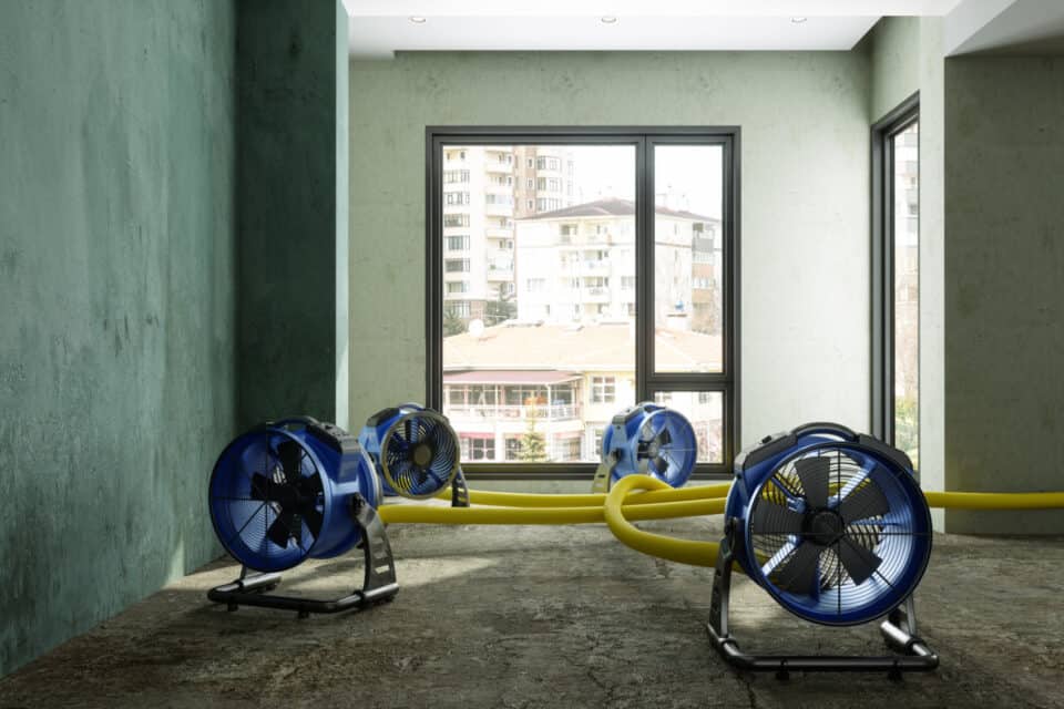 restoration sydney drying room